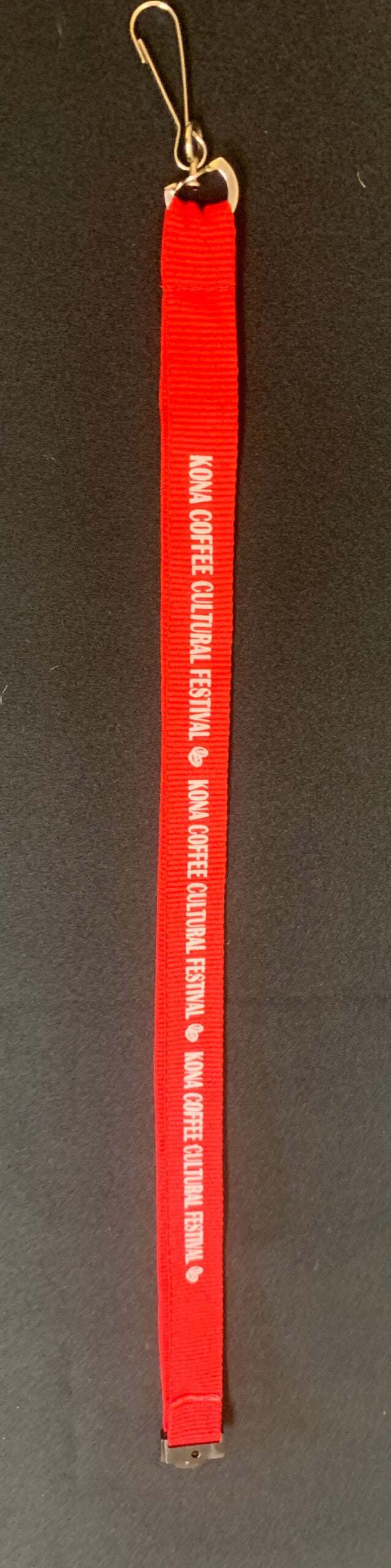 Lanyard